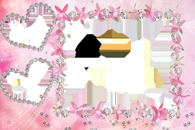 12 Model Frames For Photoshop