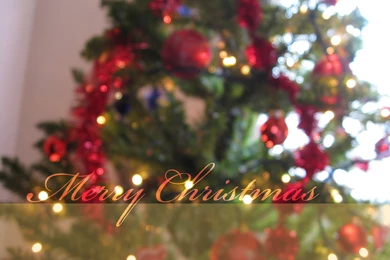 Download Free Christmas Wallpapers For Girlfriend – Jatt SMS ...