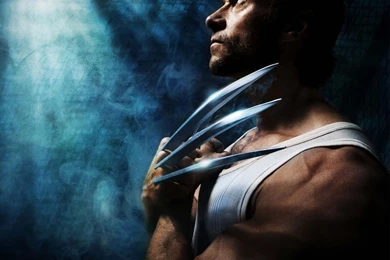 Logan/Wolverine In X Men Days Of Future Past