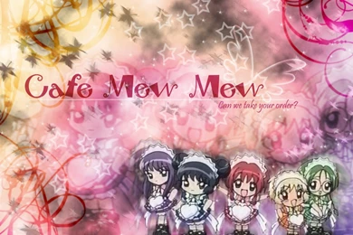 Tokyo Mew Mew Tokyo Mew Mew Wallpapers (418179) Fanpop
