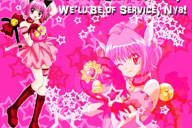 3 Tokyo Mew Mew Wps <3 Tokyo Mew Mew Wallpapers (22471742) Fanpop