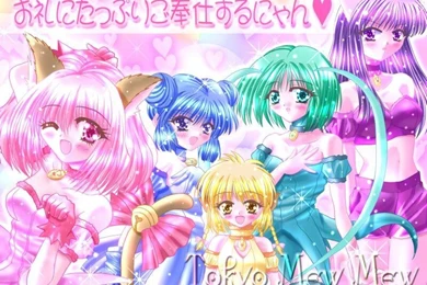Tokyo Mew Mew Tokyo Mew Mew Wallpapers (25676758) Fanpop