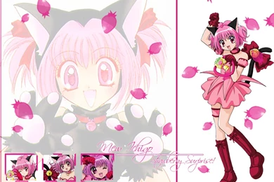 Mew Ichigo Tokyo Mew Mew Wallpapers (24005731) Fanpop