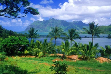 Natural Sea View Desktop Backgrounds   Free Hd Wallpapers