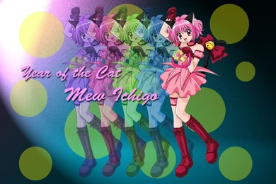 3 Tokyo Mew Mew Wps <3   Tokyo Mew Mew Wallpapers (22471682)   Fanpop
