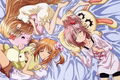Shugo Chara   Shugo Chara VS Tokyo Mew Mew Wallpapers (20382186 ...