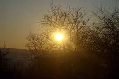 Late Autumn Sunset   (