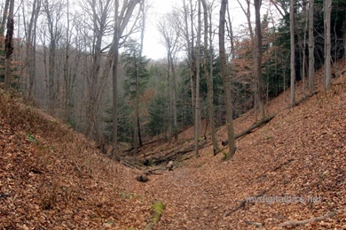 Picture My World   Autumn Landscapes