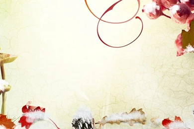 Late Fall Early Winter Wallpapers   (