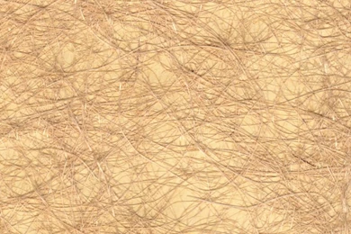 Golden Sands Handmade Jute Wallpapers   The Natural Furniture ...