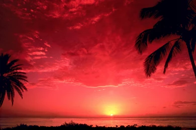 Backgrounds, Sunset, South, Pacific (