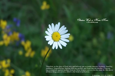 Free Religious Wallpaper_other_Desktop Wallpapers Free Download