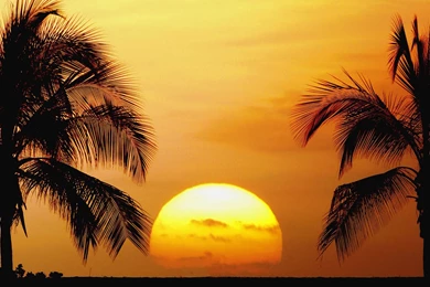 Sunset Beach Backgrounds   Wallpapers Cave