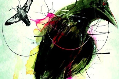 Download Free Music Wallpapers Afi With Size 640x960 Pixels For IPhone