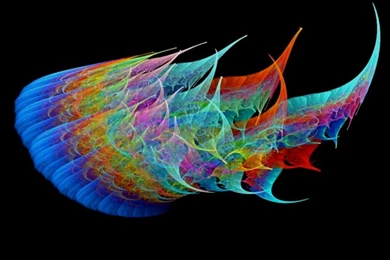 Beautiful Rare Sea Creatures