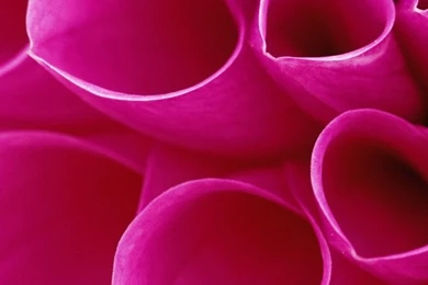 Phone Backgrounds 28 Cool Wallpaper Backgrounds And Wallpapers Home ...