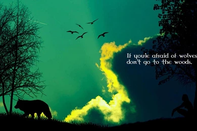 Wolf Wisdom Wallpapers   (