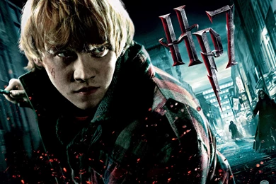 Harry Potter And The Deathly Hallows: Part I Wallpapers