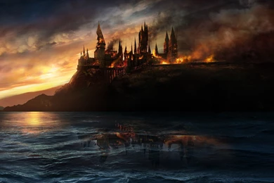 Harry Potter And The Deathly Hallows: Part 1 Computer Wallpapers ...