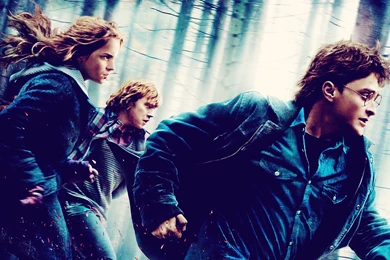 Harry Potter And The Deathly Hallows: Part 1 Computer Wallpapers ...