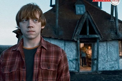 Harry Potter And The Deathly Hallows   Part 1 Wallpapers Picture ...