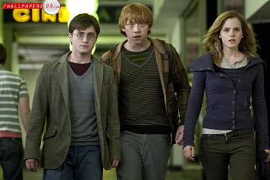 Harry Potter And The Deathly Hallows   Part 1 Wallpapers Picture ...
