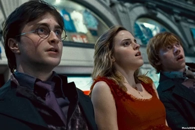 Harry Potter And The Deathly Hallows Part 1 (2010)