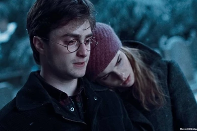 Harry Potter And The Deathly Hallows Part 1   Harry And Hermione ...