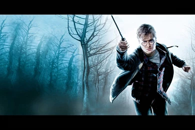 40   Bellatrix   Harry Potter And The Deathly Hallows: Part 1: The ...