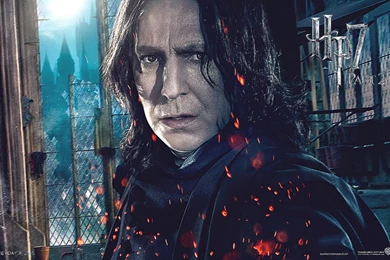 Harry Potter And The Deathly Hallows: Part 1 Movie Wallpapers Free ...