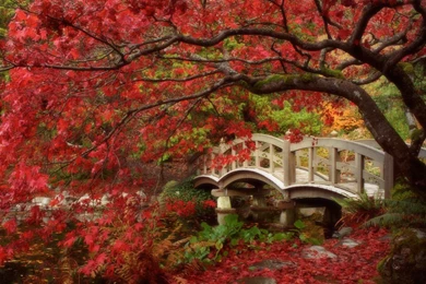 Free Wallpapers Download PC Desktop Best HD Desktop Wallpapers ...