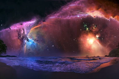 Falcon Bird Wallpaper Backgrounds   Uncalke.com