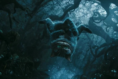 Cheshire Cat HD Wallpapers   HD Wallpaper Backgrounds Of Your Choice