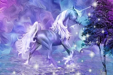 Wallpapers Alcohol Unicorn 800x600