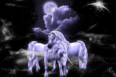 Free Unicorn Wallpapers   Wallpapers Zone