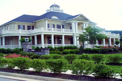 Unthinkable Pretty Container Gardens That Are Perfect For Any ...