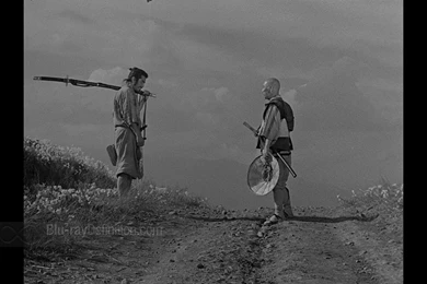 Seven Samurai [Criterion Collection] Blu ray Review