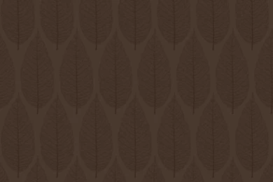 Brown Leaves Wallpapers