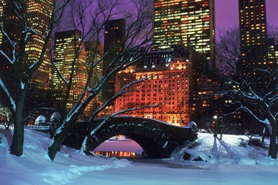 Central Park Winter Nature Wallpapers