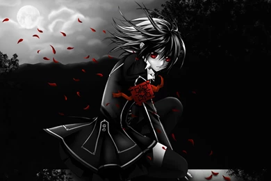 Yuki Kuran   Vampire Knight Wallpapers   HD Wallpapers Expert