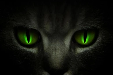 Share Your Wallpapers   Page 42