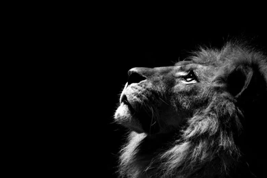 Share Your Wallpapers   Page 24