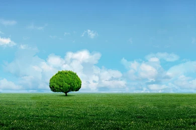 Galaxy Note 2   Samsung Wallpapers