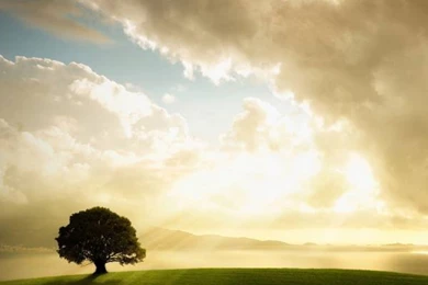 Download Top 15 HD Wallpapers For Your Galaxy Note 2