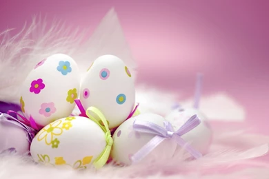 Eggs HD Holiday And Celebration Wallpapers