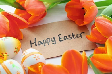 Download 20+ Best Happy Easter Backgrounds