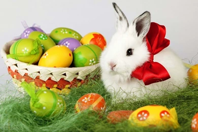 Cute Happy Easter Wide Wallpapers   Nekeran.com