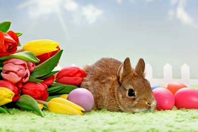 Happy Easter 2016 Wishes Images Eggs Wallpapers Pictures