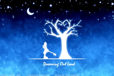 Kingdom Heart Wallpaper Backgrounds A8Z » WALLPAPERUN.COM