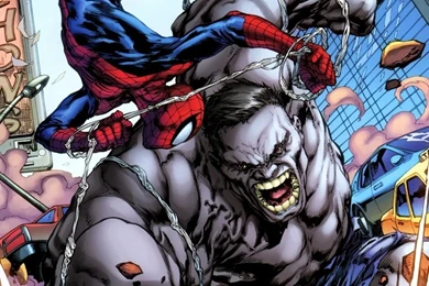 Comics Spiderman Superheroes Hulk 1280x1961 Wallpapers High Quality ...